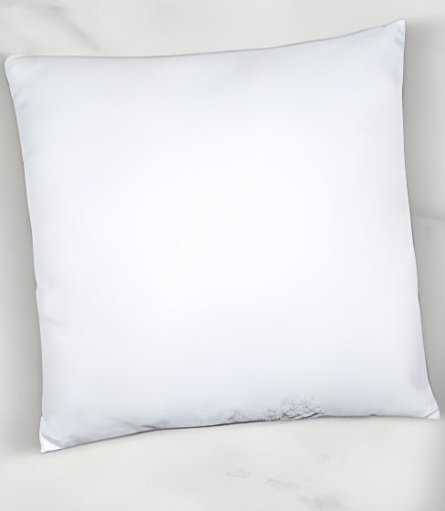 60*60 cm Cushion Inner