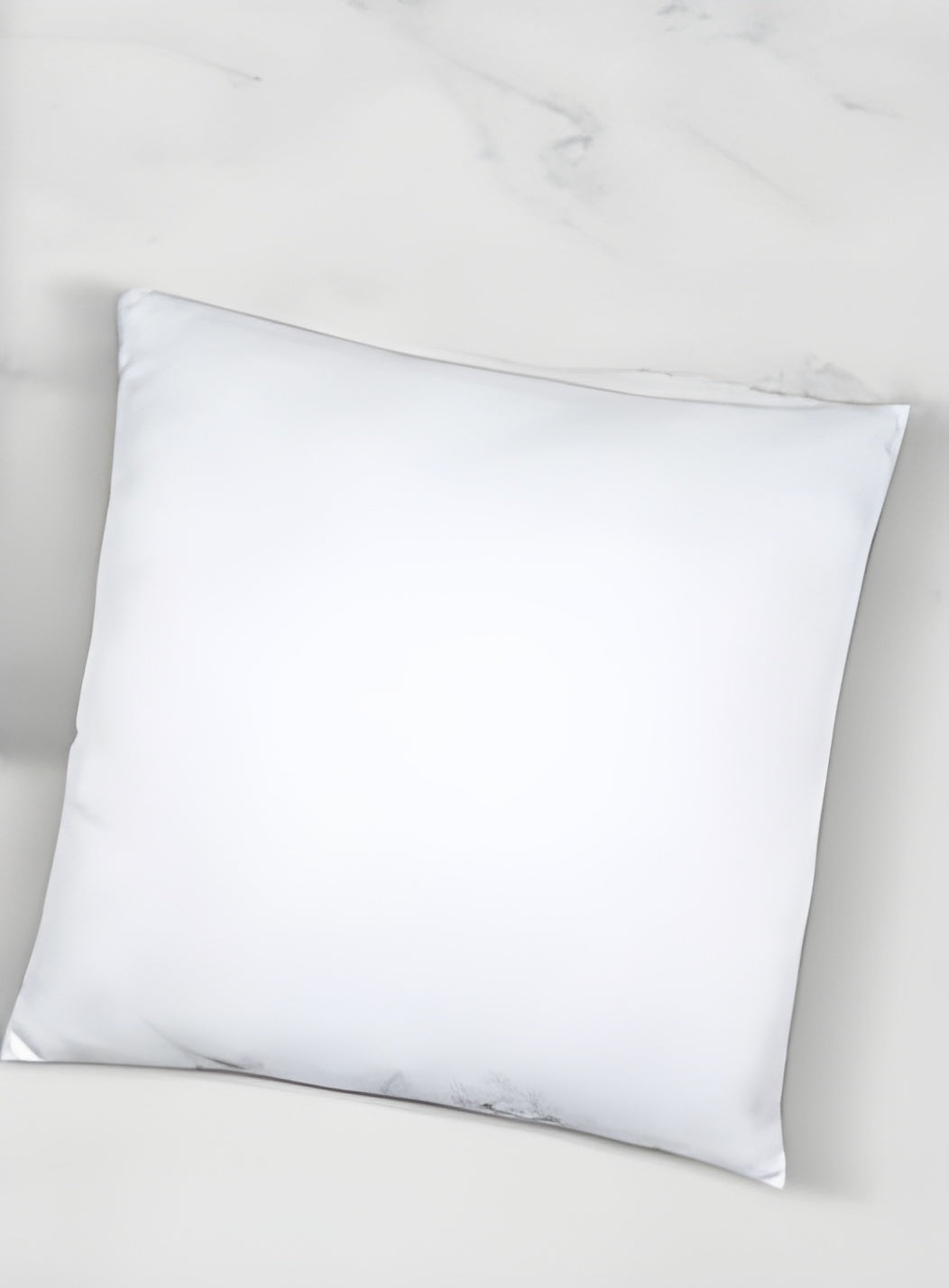 60*60 cm Cushion Inner